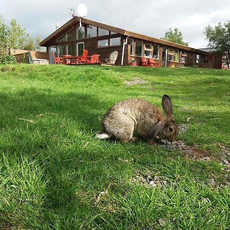 Hostel Geysir Hestar Haukadalur Exteriér fotografie