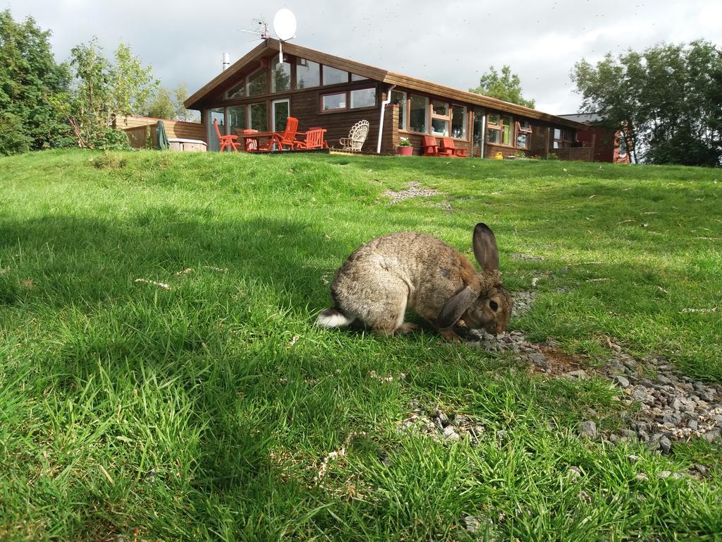 Hostel Geysir Hestar Haukadalur Exteriér fotografie
